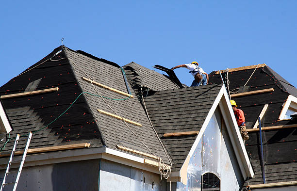 Roof Moss and Algae Removal in Trumansburg, NY